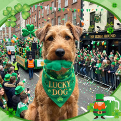 Jouet peluche Civaner chien design Saint Patrick vert pour ambiance festive