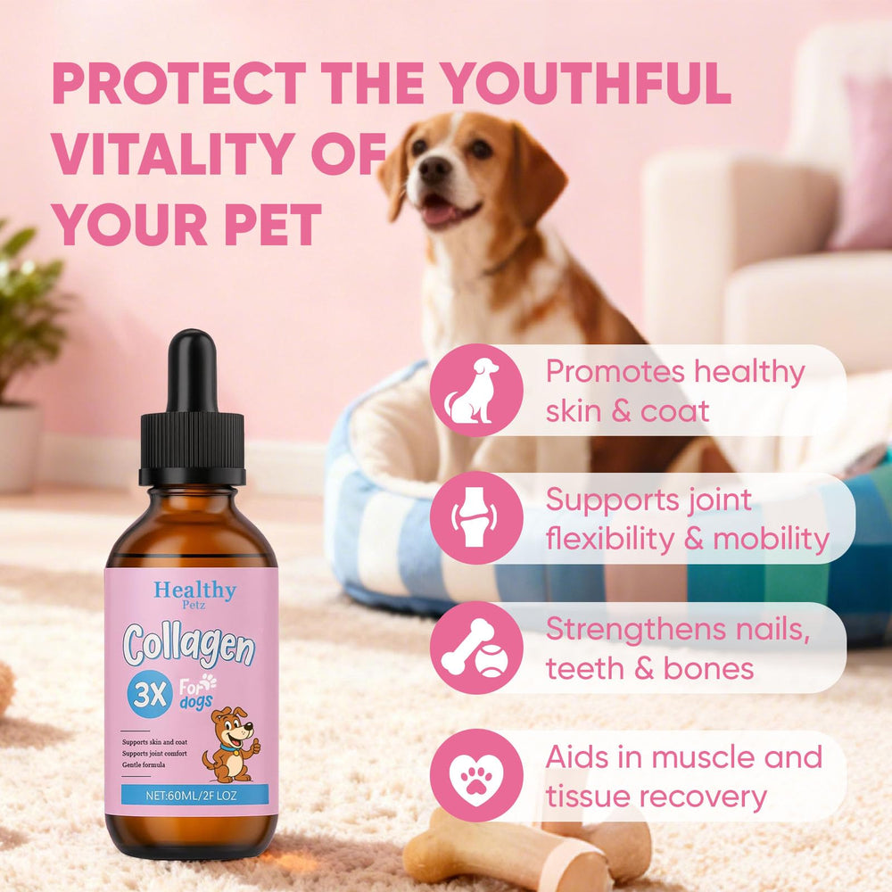 Spray CIVGICY Collagen administré directement dans la bouche du chien.
