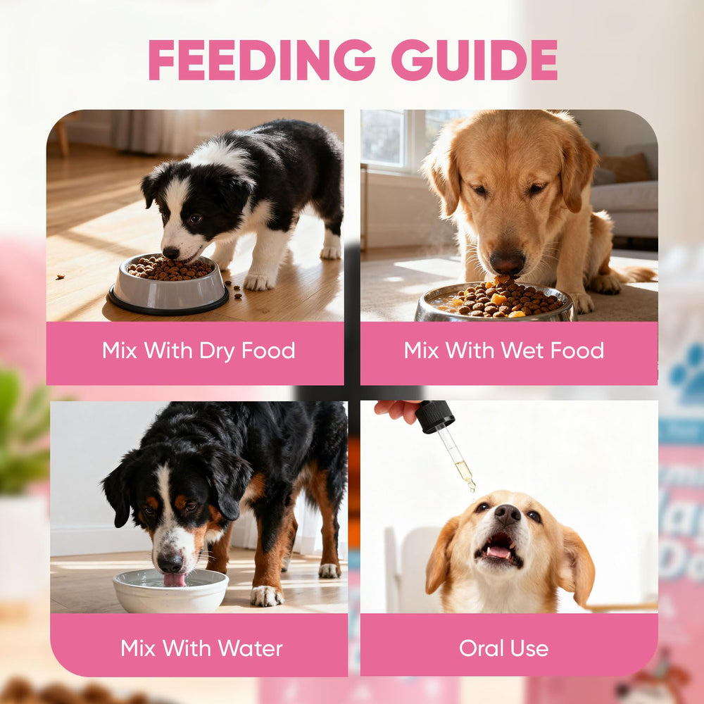 Convient chiens et chats de tous âges avec CIVGICY Collagen.