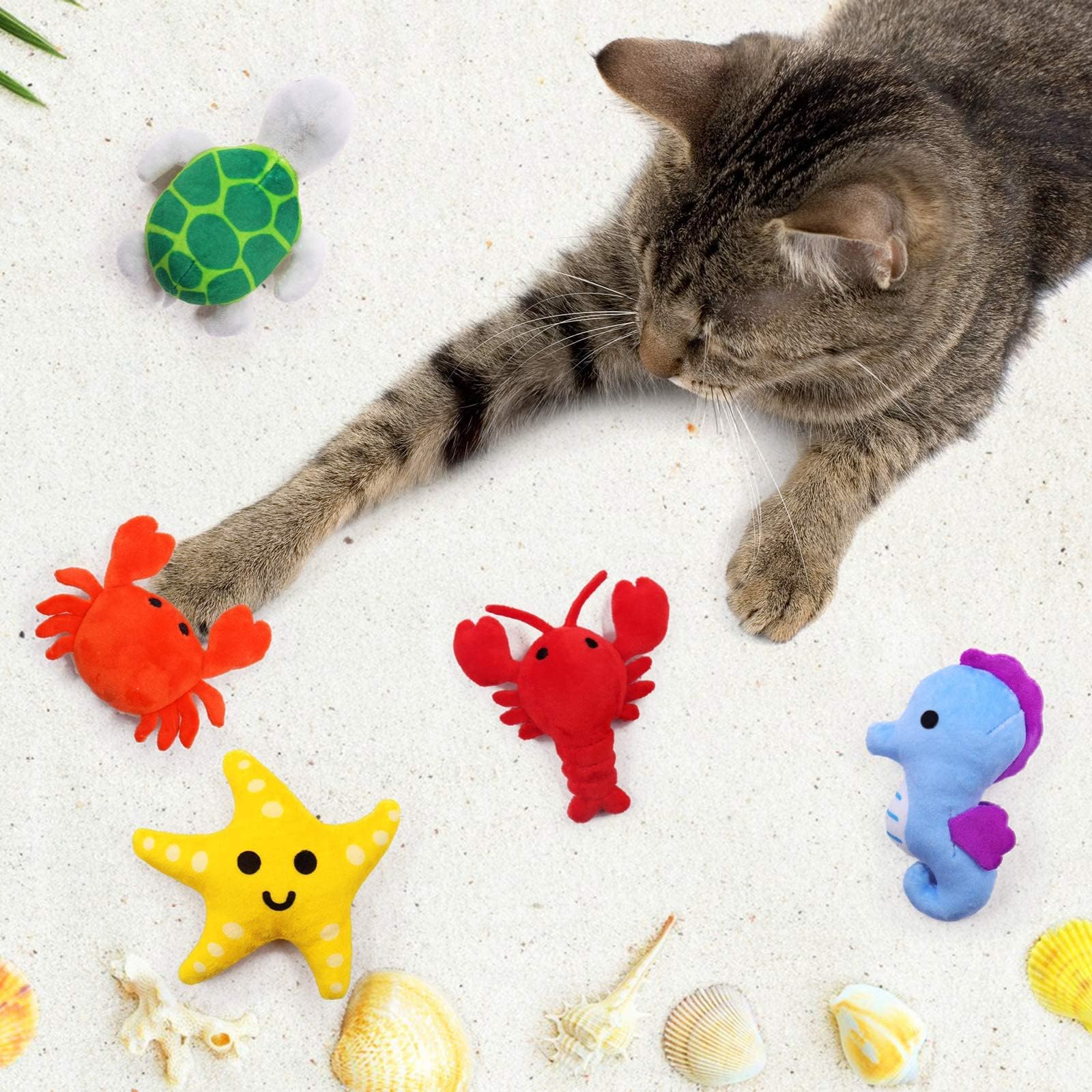 Jouet étoile de mer CiyvoLyeen pour chat, favorise l'exercice ludique.