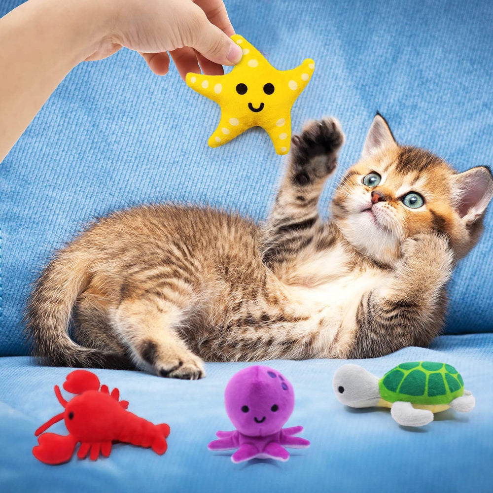 Jouet pieuvre CiyvoLyeen pour chat, encourage la chasse et la stimulation.