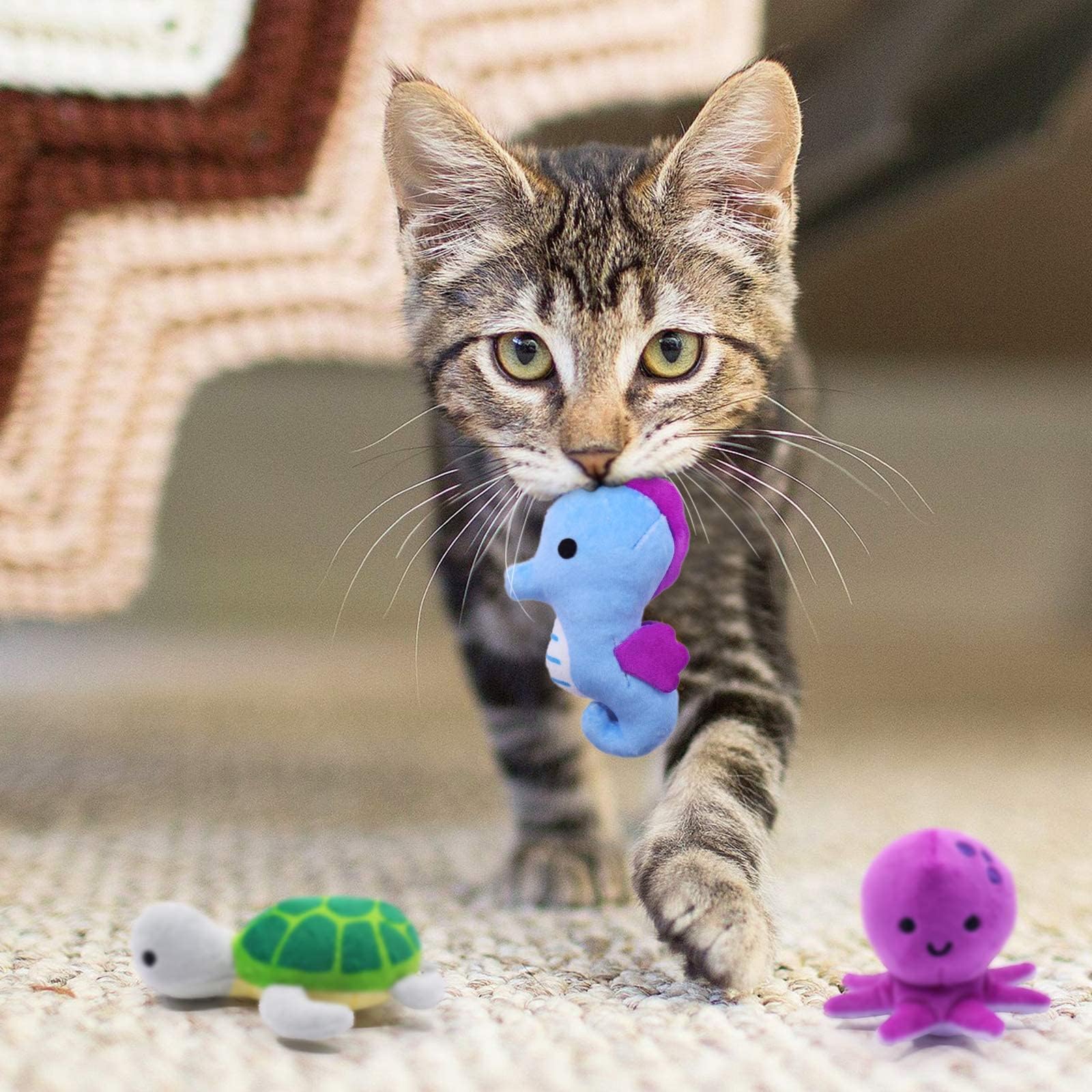 Jouet tortue de mer CiyvoLyeen pour chat, apporte douceur et jeu.