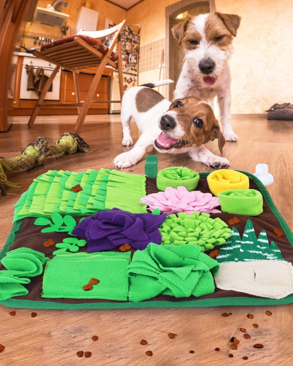 Tapis de reniflage CiyvoLyeen, taille 16,5 pouces adaptée chiens et chats.