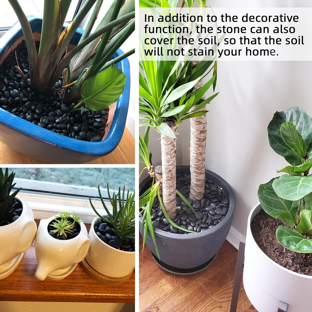CJGQ pierres noires pour terrarium, aspect naturel durable et élégant.