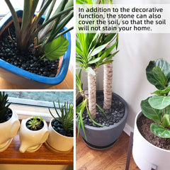 CJGQ pierres noires pour terrarium, aspect naturel durable et élégant.