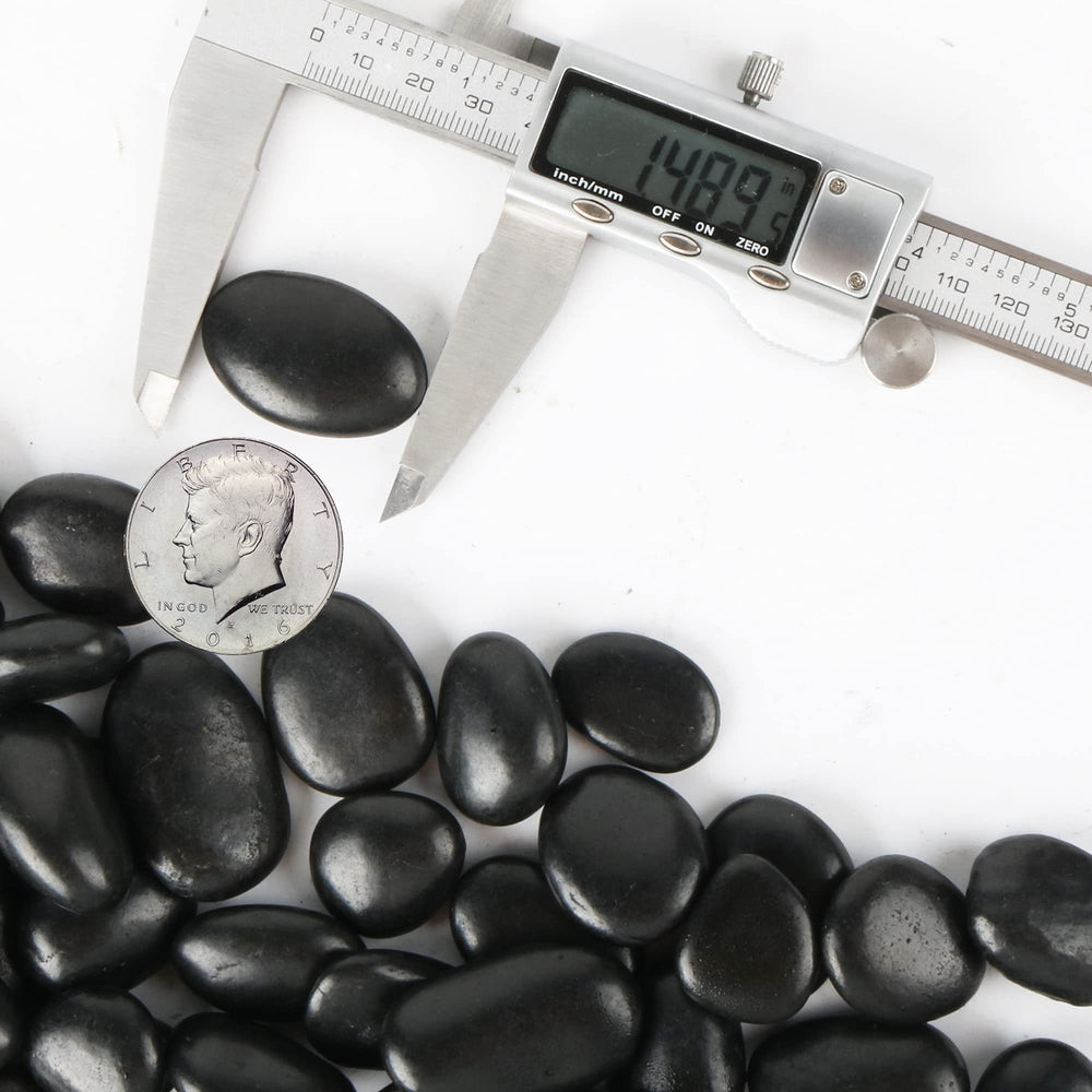 CJGQ pierres noires pour succulentes, embellissent les pots sans masquer les détails.