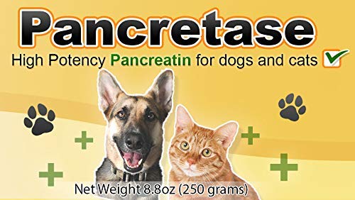 CK Formulations Pancretase – Etiquette: informations claires sur la composition et le dosage.