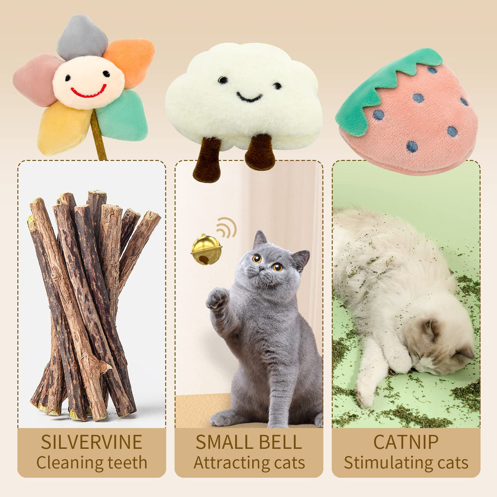 CKFPS Ensemble cadeau – trio exclusif pour chat d’intérieur et amuser.