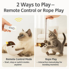 CKFPS Télécommande Chat: pilotage simple du jeu pour votre compagnon.