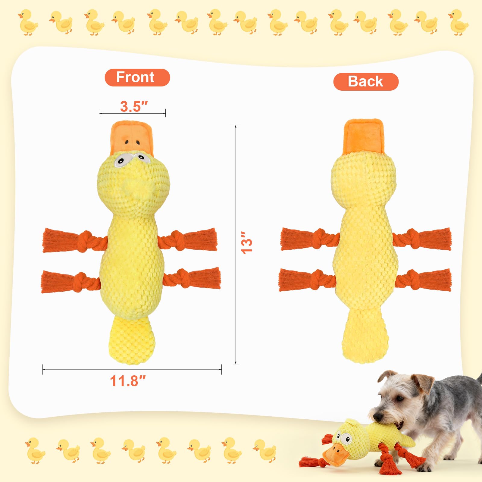 Jouet crissant avec queue Ckin pet, amusement et stimulation auditive