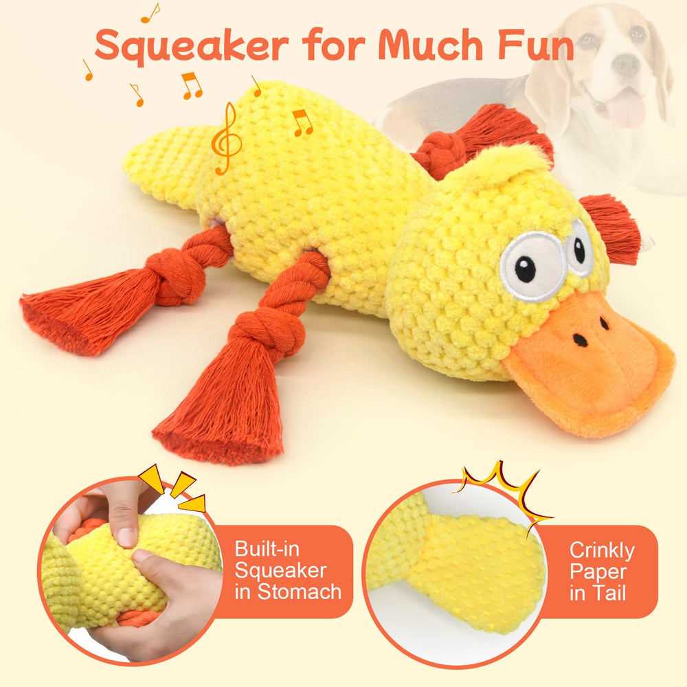 Jouet interactif Ckin pet avec 4 cordes pour tir sécurisé