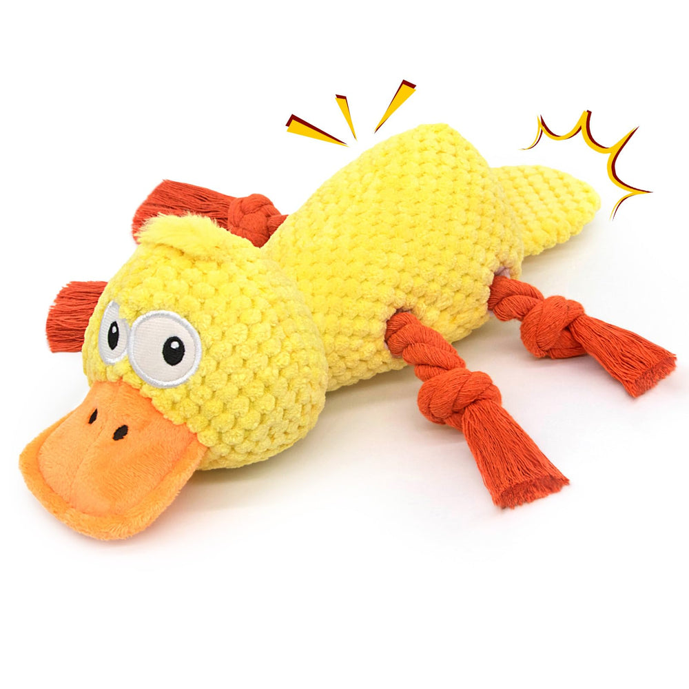 Jouet siffleur Ckin pet en canard, stimulation auditive pour chien