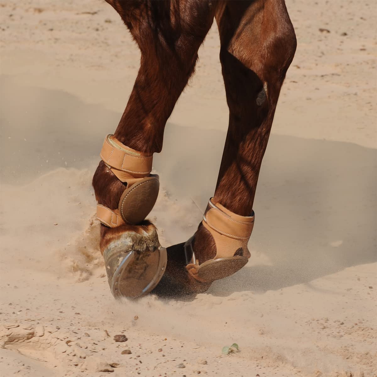 Classic Equine Pro Reiner, vue latérale: confort durable et ajustement sans frottement.