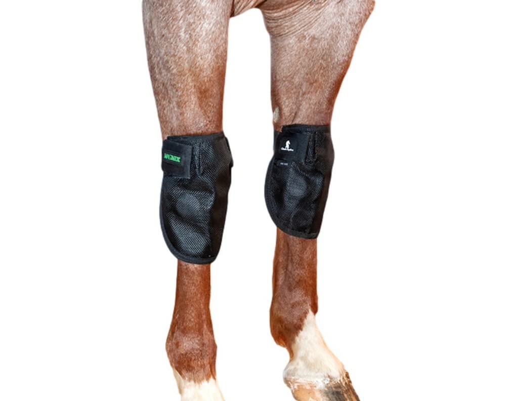 Classic Equine MagNTX attelle genou, soutien potentiel et mobilité améliorée.