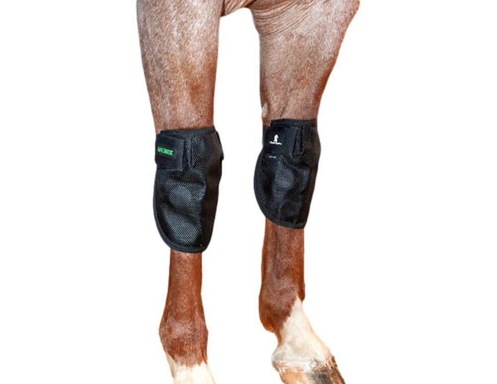Classic Equine MagNTX attelle genou, soutien potentiel et mobilité améliorée.