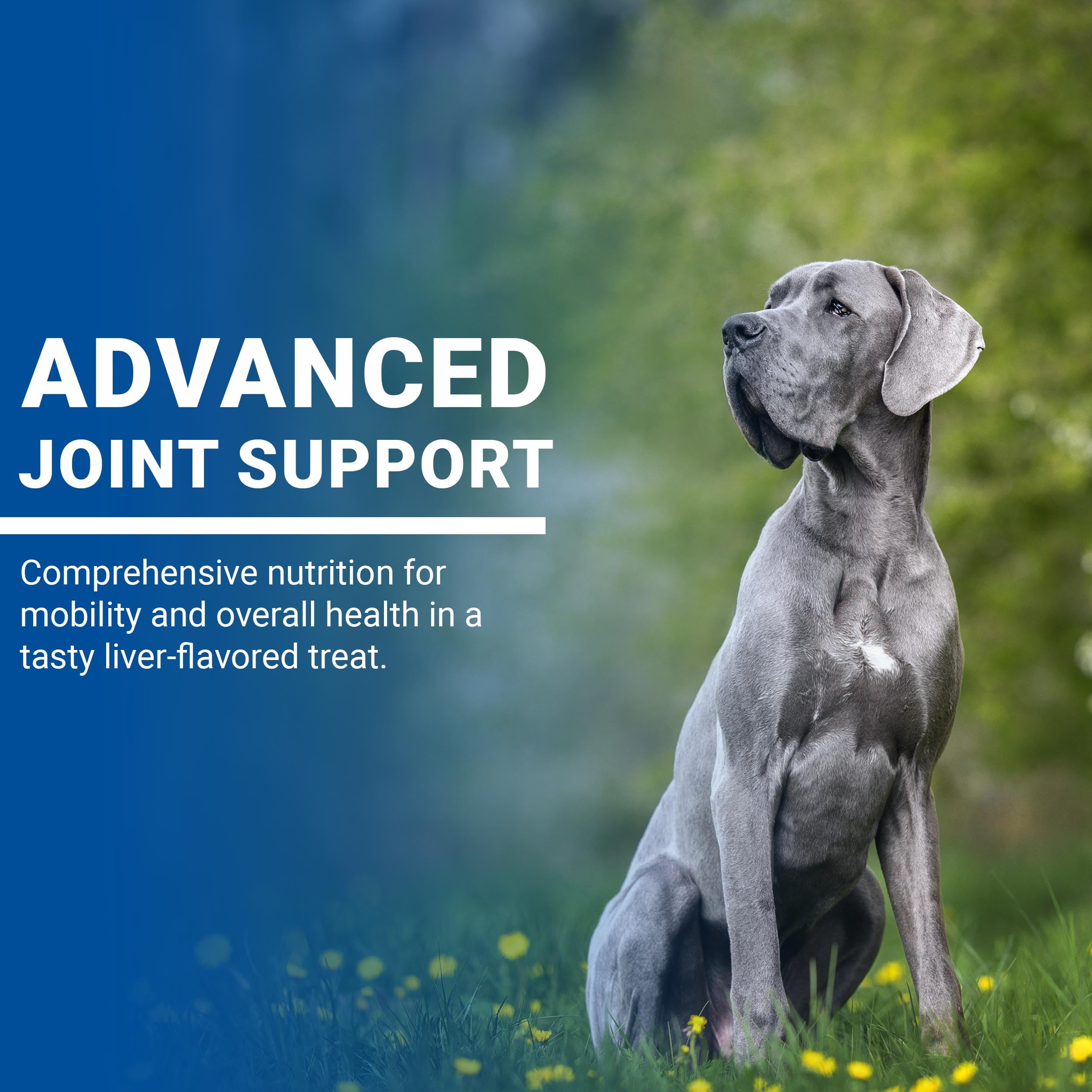 CLASSIC VPS SynovialMax emballage 240 unités: grande valeur pour la routine.