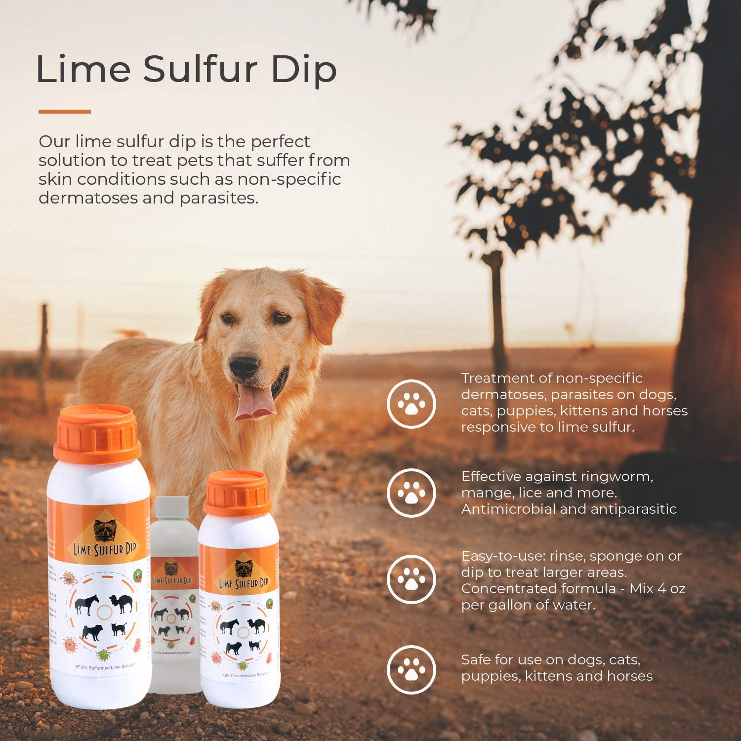 Pinceau d’application utilisé avec Classic's Lime Sulfur Dip