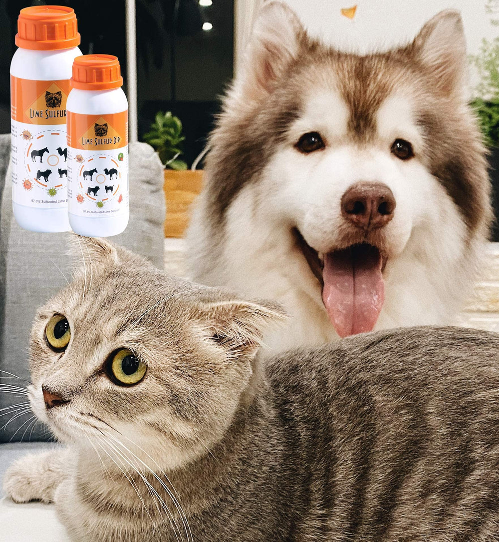 Solution diluée prête pour rinçage ou application sur l’animal