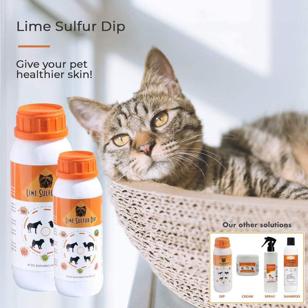 Préparation du mélange avec Classic's Lime Sulfur Dip et eau