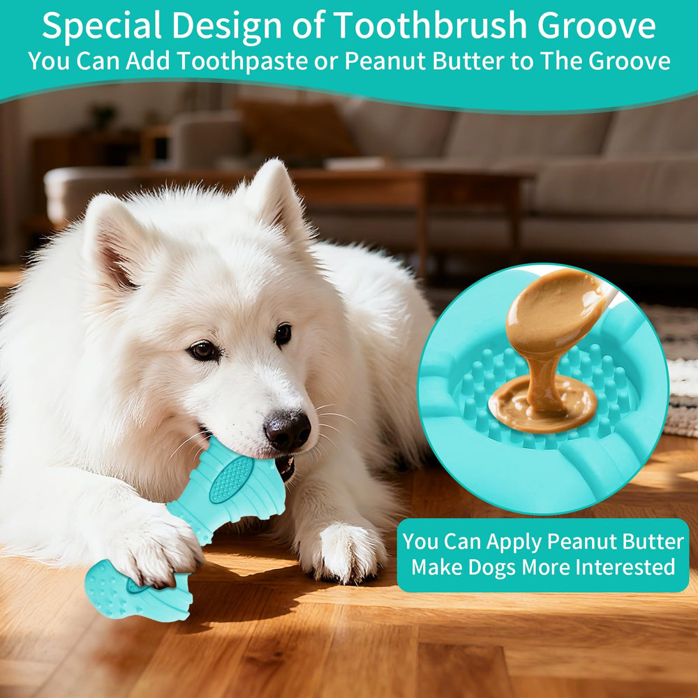 ClawClawHome ensemble-4-jouets-durables : options multiples pour chiens variés.