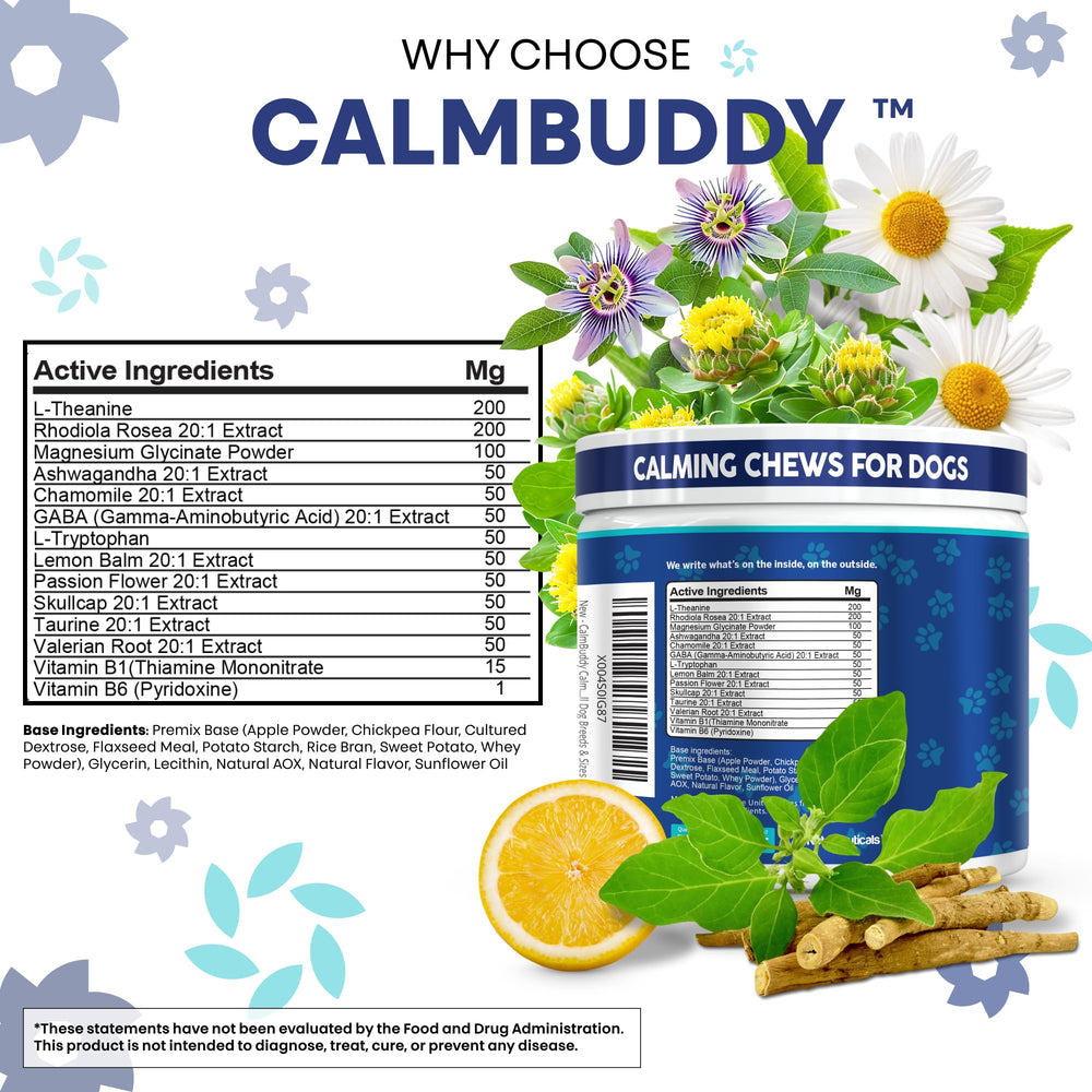 Chien dégustant CalmBuddy, bouchée savoureuse favorisant le calme lors des sorties.