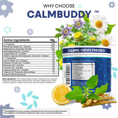Chien dégustant CalmBuddy, bouchée savoureuse favorisant le calme lors des sorties.
