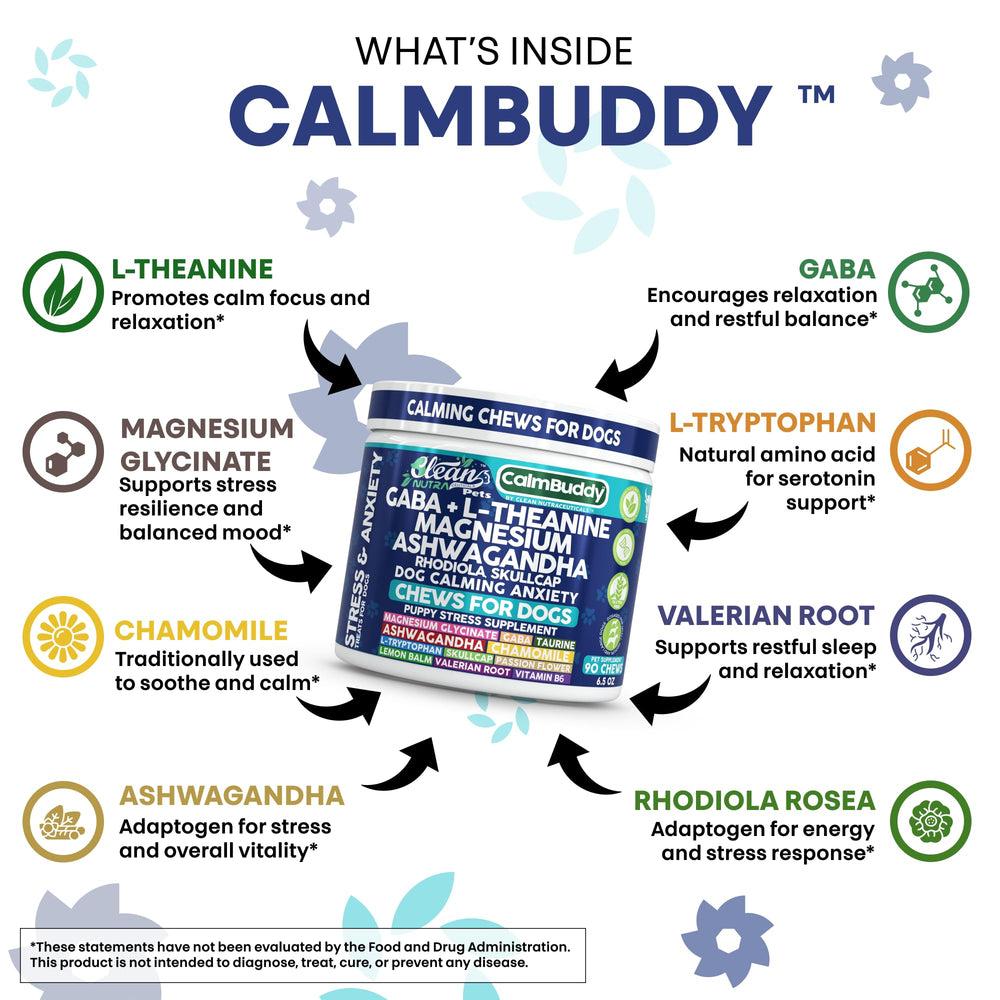 CalmBuddy emballage pratique, dose quotidienne facile pour un chien détendu.