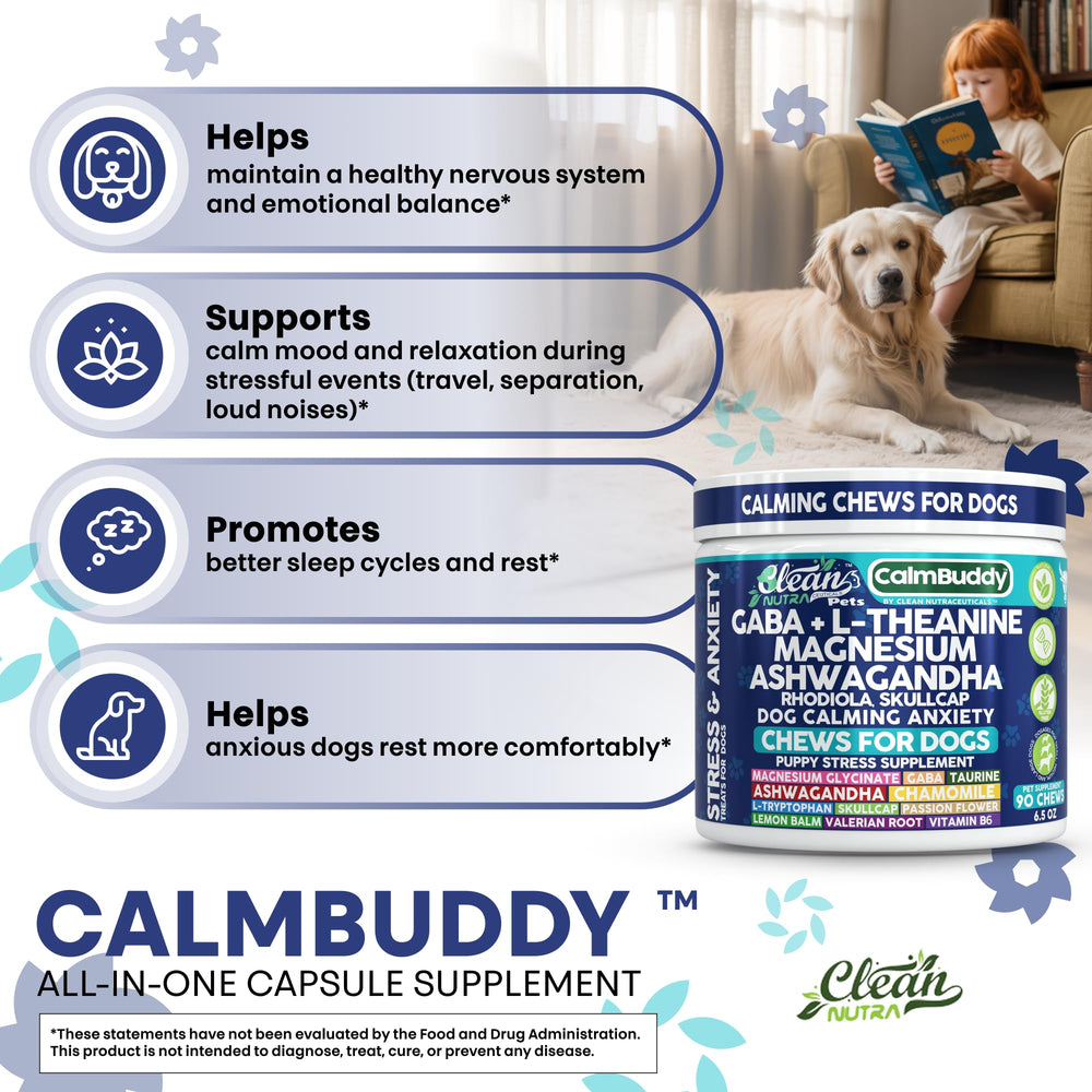Ingrédients CalmBuddy affichés, mélange GABA et plantes pour le soutien apaisant.