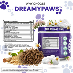 Chien qui dort paisiblement après avoir mangé Dreamy Paws