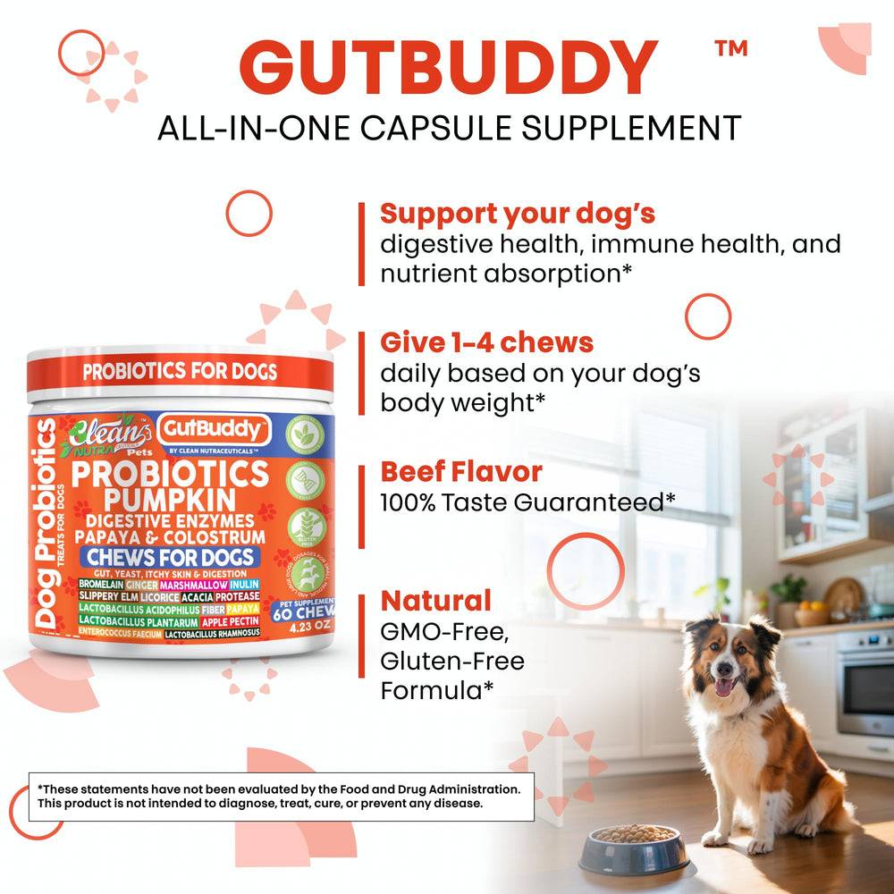 Clean Nutraceuticals Ecorceorme glissant chien : soutien apaisant du tractus gastro-intestinal
