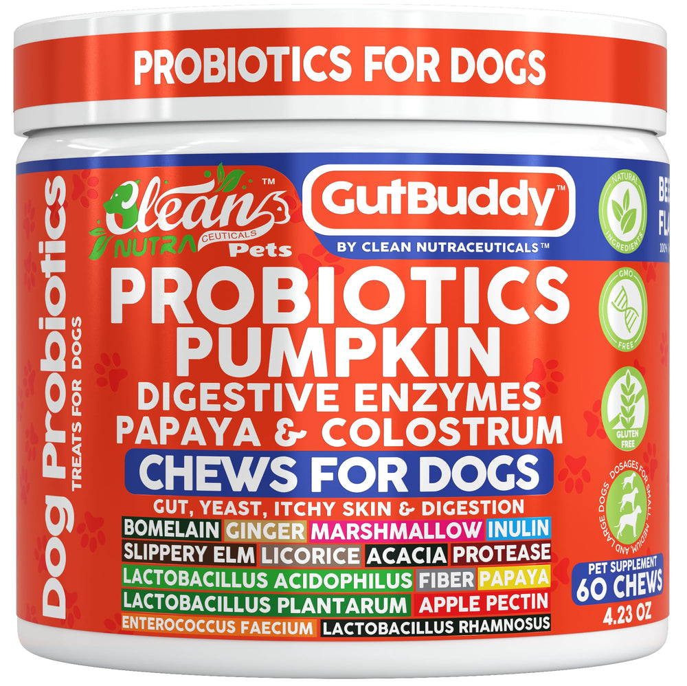 Clean Nutraceuticals Probiotiques chien bouteille : soutien potentiel pour la digestion au quotidien