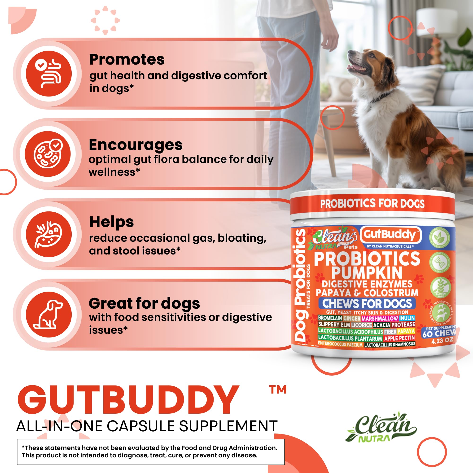 Clean Nutraceuticals Purée citrouille chien : fibres et douceur pour le confort digestif