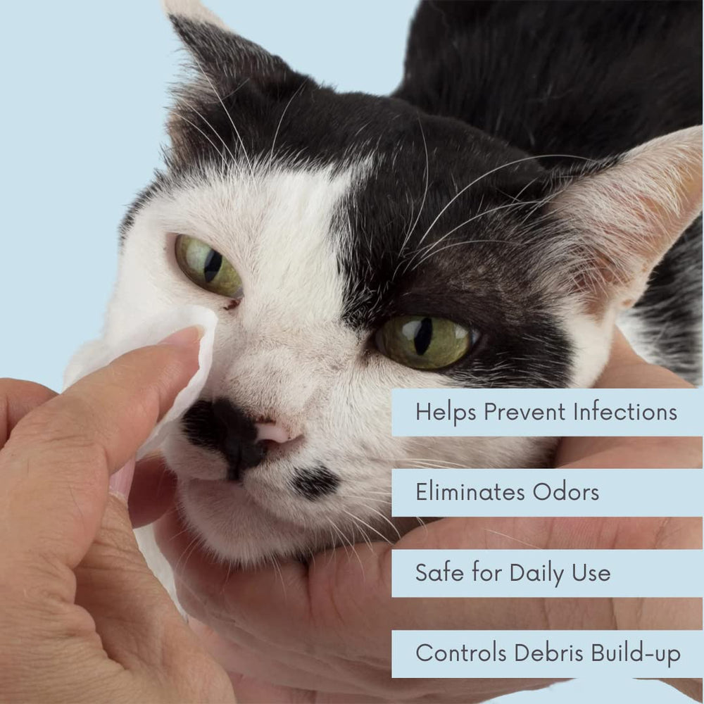 Efficacité vétérinaire perçue pour les soins à domicile avec Clean Pet.