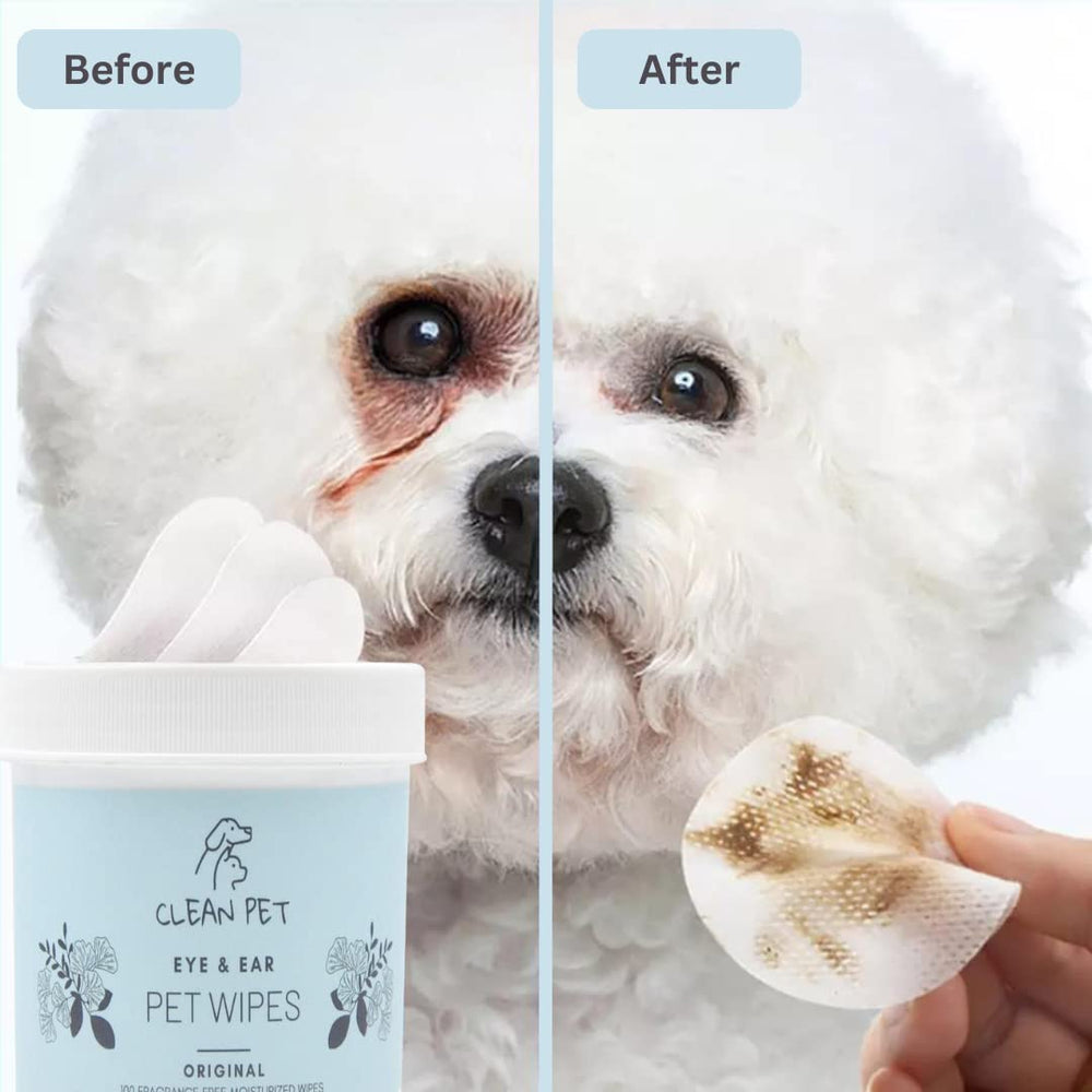 Soin doux pour peau sensible autour des yeux et oreilles avec Clean Pet.