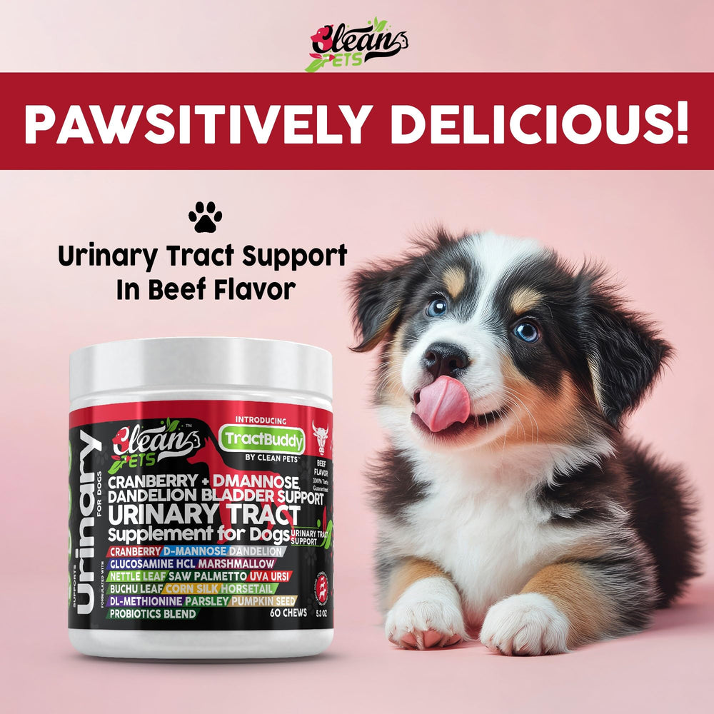 Clean Pets Canneberge-D-Mannose-Chien – capsules faciles à administrer et soutiennent potentiellement la fonction urinaire.