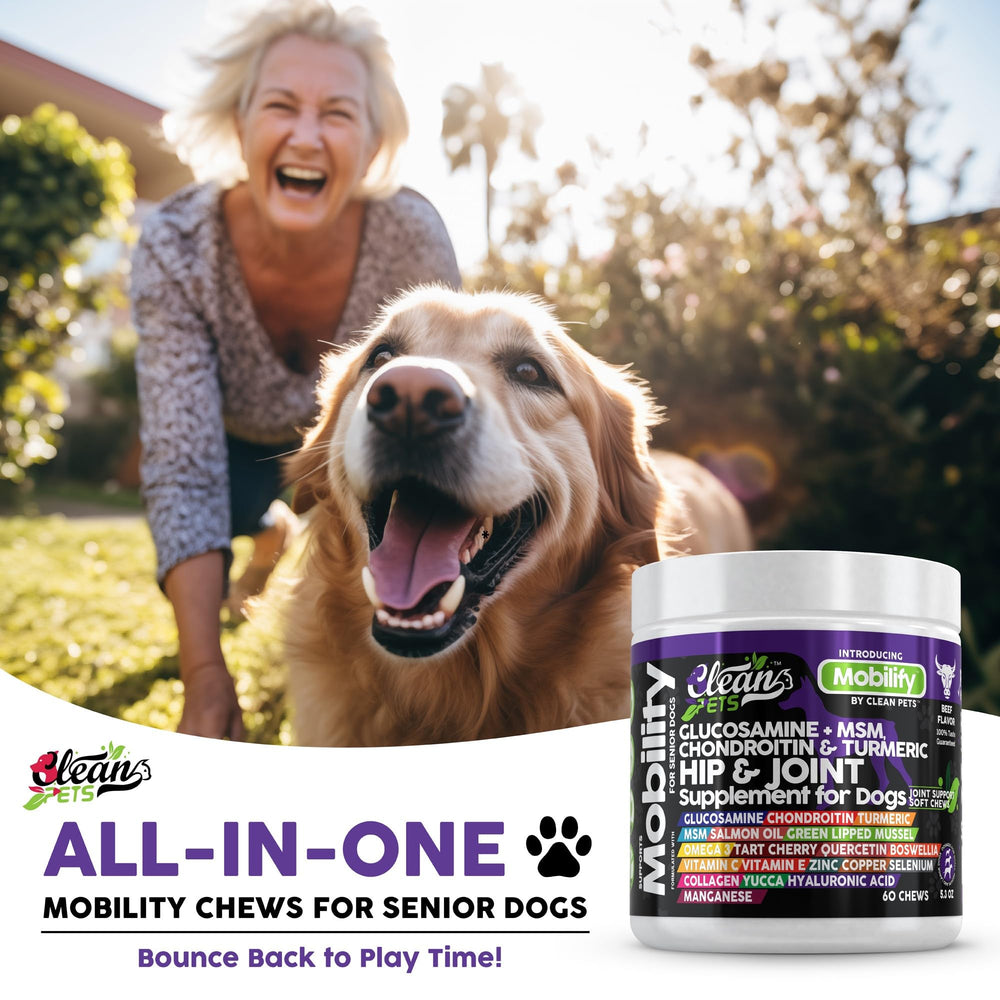 Curcuma boswellia tart cherry Clean Pets présents dans la formule