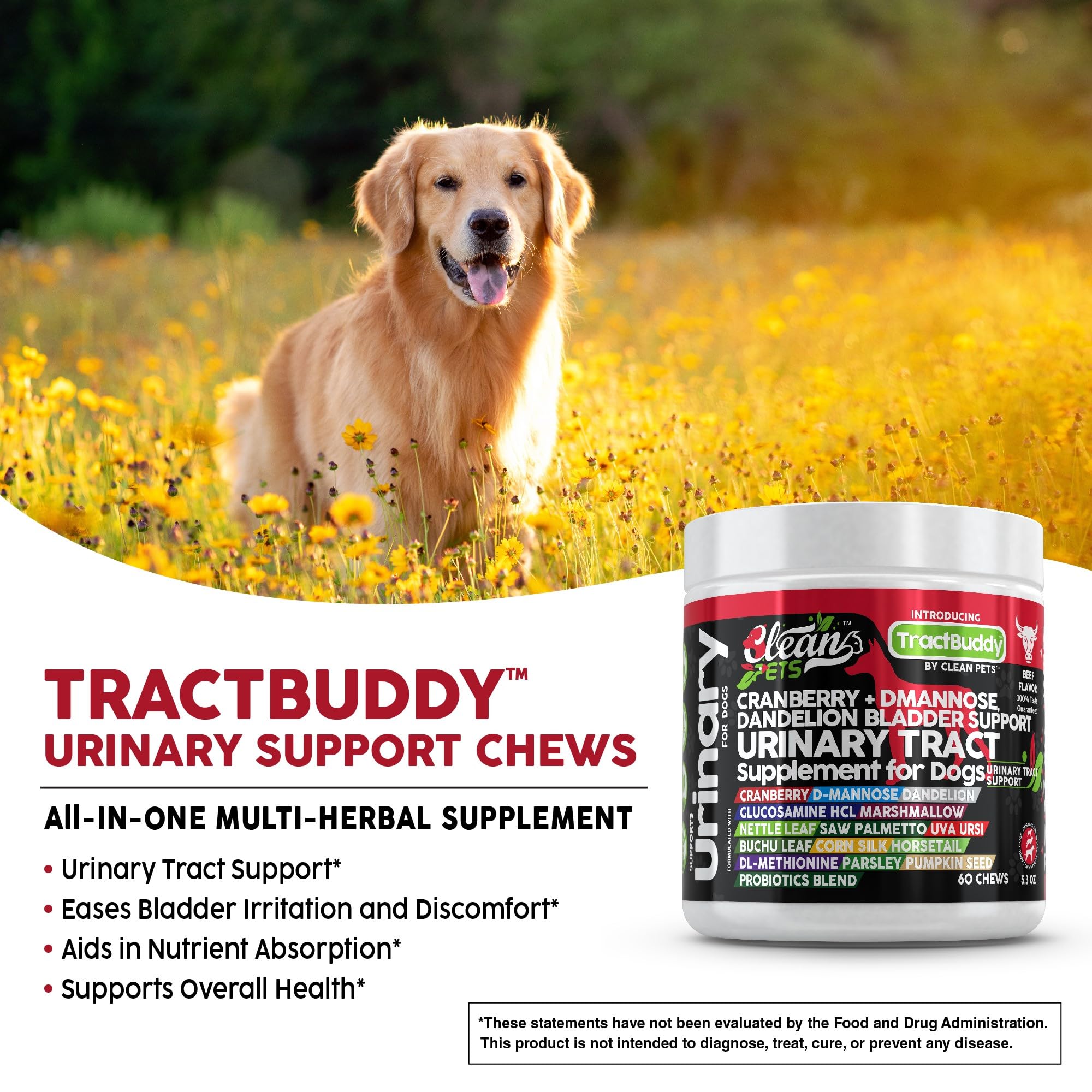 Clean Pets Pissenlit-Prêle-Chien – extrait naturel pour soutien digestif.
