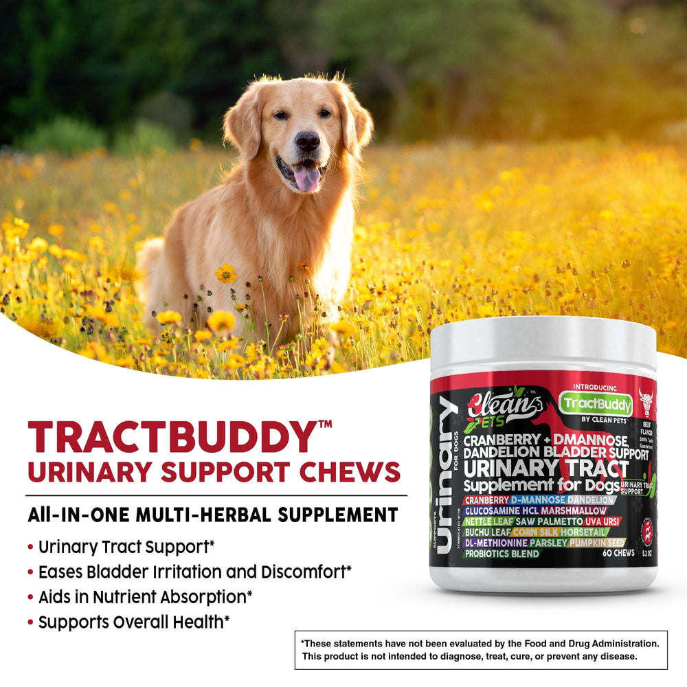 Clean Pets Pissenlit-Prêle-Chien – extrait naturel pour soutien digestif.