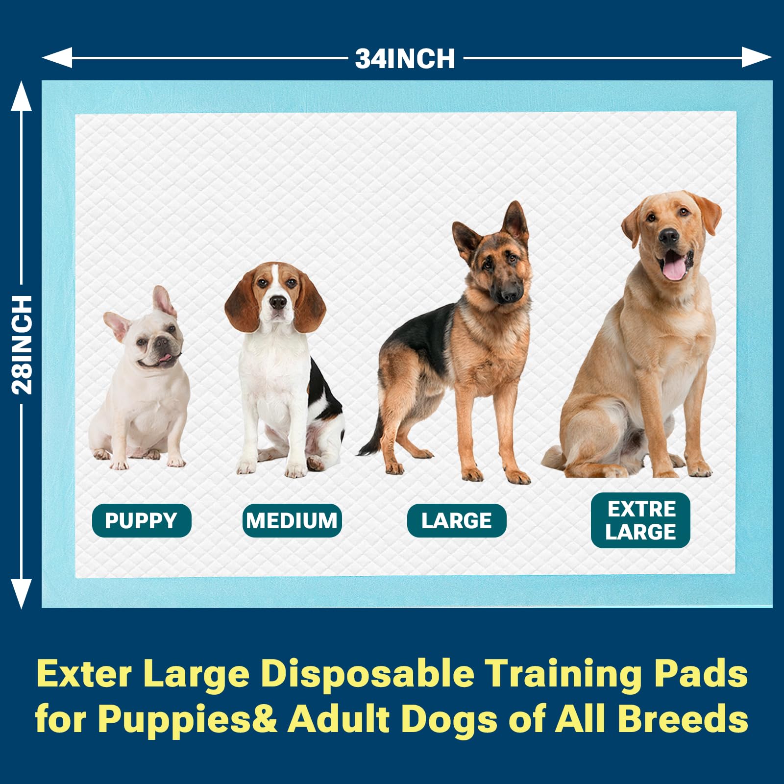 Confort quotidien CLEAN SPACES, idéal pour chiens et adultes.