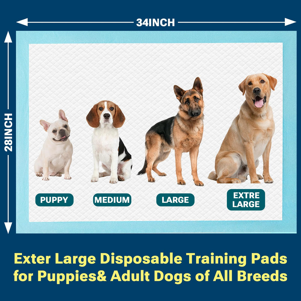 Confort quotidien CLEAN SPACES, idéal pour chiens et adultes.