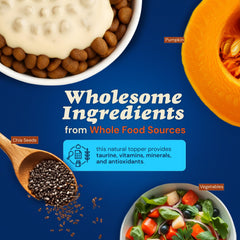 CLEAR CONSCIENCE PET Arfredo SuperGravy texture crèmeuse dans une assiette.