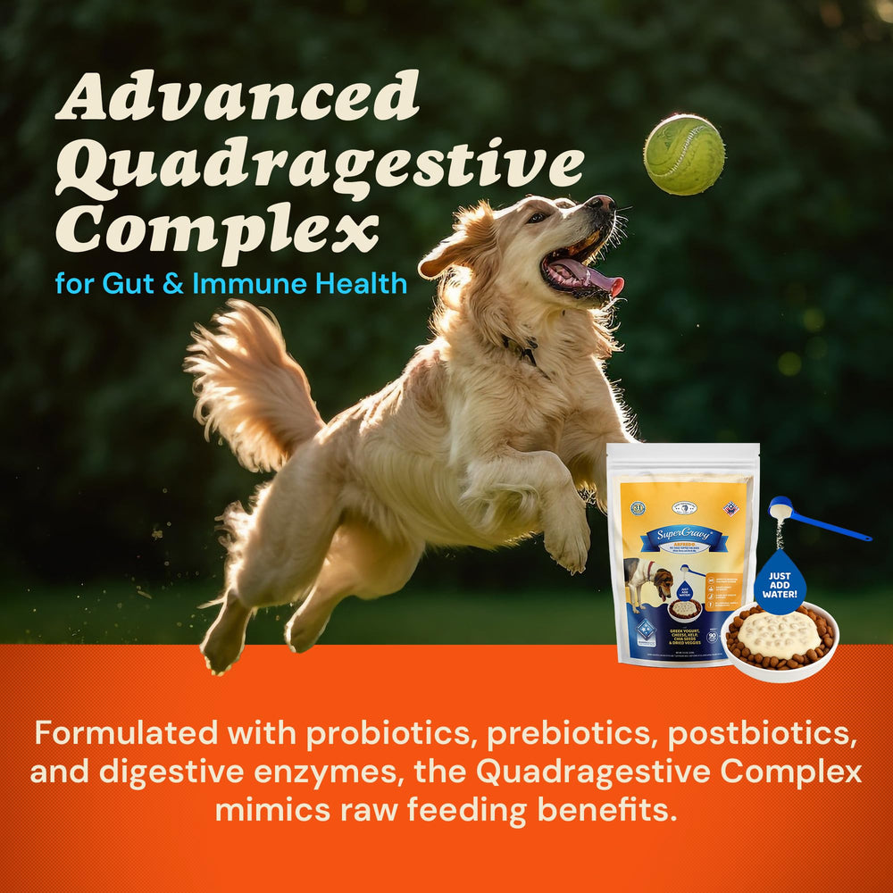 CLEAR CONSCIENCE PET Bon A’ La Goat – bouillon d’os et lait de chèvre, nutrition naturelle