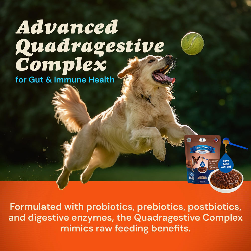 CLEAR CONSCIENCE PET Paw Jus SuperGravy, ingrédients USA de qualité