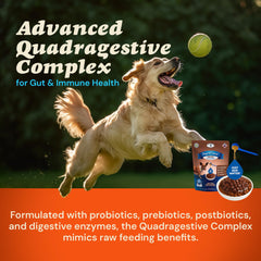 CLEAR CONSCIENCE PET Paw Jus SuperGravy, ingrédients USA de qualité