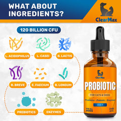 Clear Max Probiotiques Liquide – Enzymes digestives incluses pour meilleure absorption des nutriments.