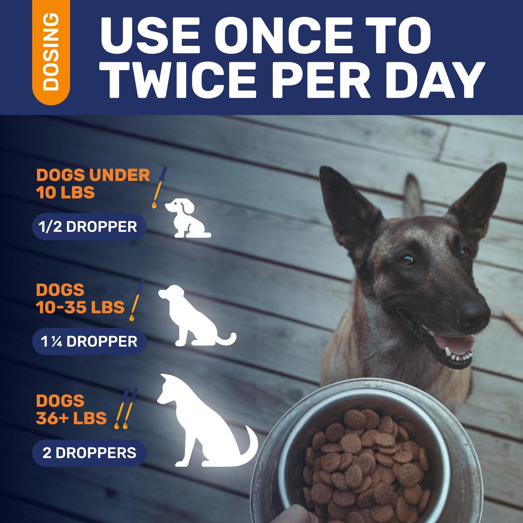Clear Max antibiotiques chien canneberge pour soutien digestif.