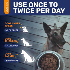 Clear Max antibiotiques chien canneberge pour soutien digestif.