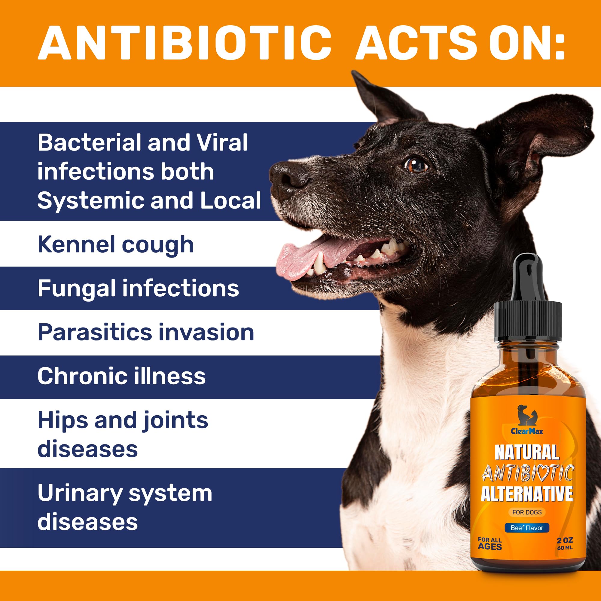 Clear Max antibiotiques chien saveur boeuf appréciée par les chiens.
