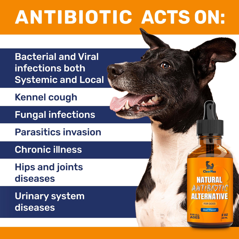 Clear Max antibiotiques chien saveur boeuf appréciée par les chiens.