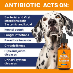 Clear Max: extrait de canneberge naturel soutenant la digestion chez le chien.